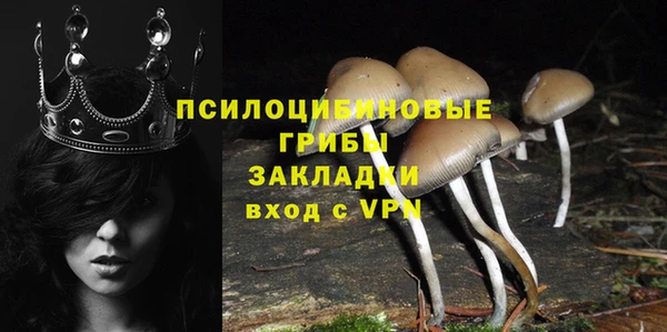 СК Новокубанск