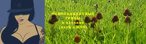 бутират Новодвинск