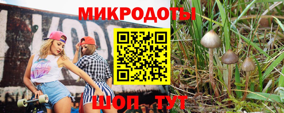 Галлюциногенные грибы Magic Shrooms  Галлюциногенные грибы мухоморы  Вход с VPN  Борзя 