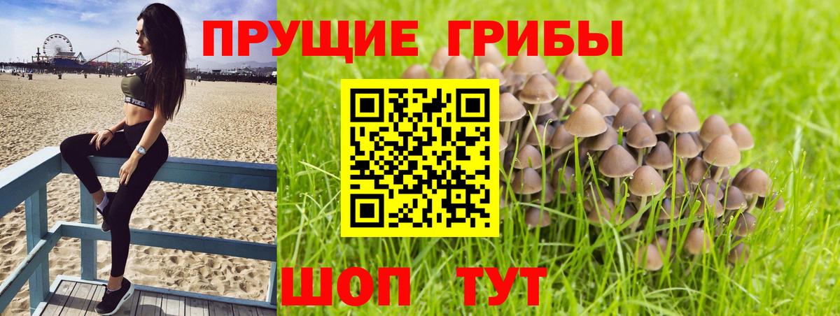 Псилоцибиновые грибы ЛСД Борзя